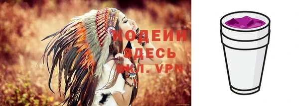 хмурый Козловка