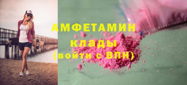 СК Алексин