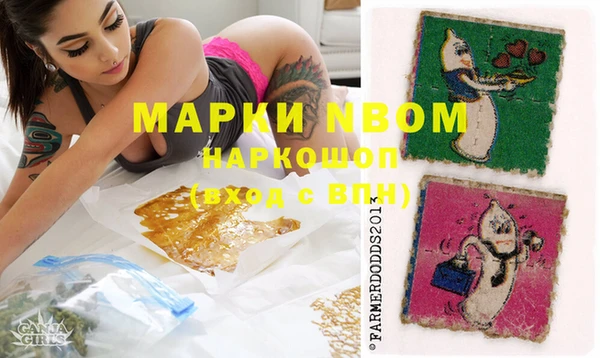 СК Алексин